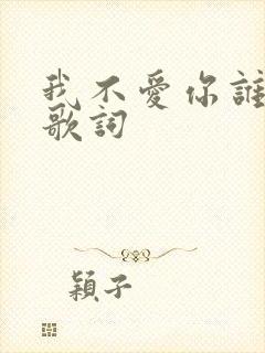 我不爱你谁爱你歌词