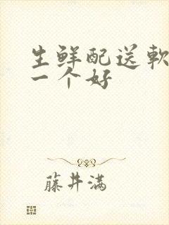 生鲜配送软件那一个好