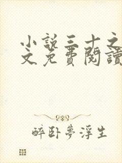 小说三十之妻全文免费阅读