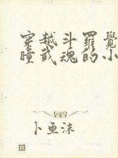 穿越斗罗觉醒重瞳武魂的小说