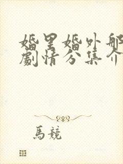 婚里婚外那些事剧情分集介绍