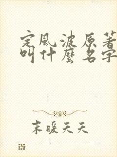 定风波原著小说叫什么名字