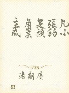 主角是张凡穿越成崇祯的小说