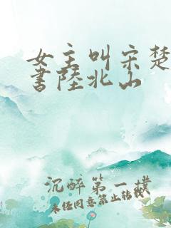 女主叫宋楚,穿书陆北山