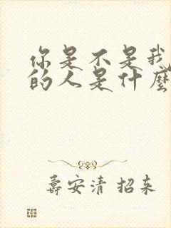 你是不是我最爱的人是什么歌