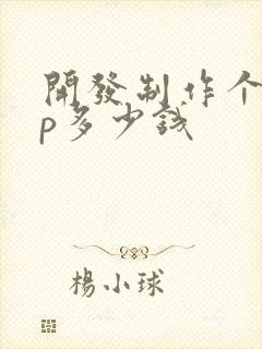 开发制作个app多少钱