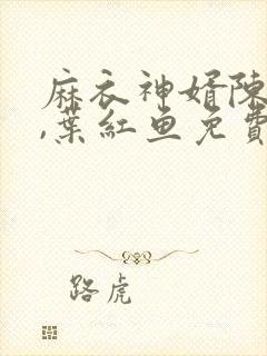 麻衣神婿陈黄皮,叶红鱼免费阅读十六章