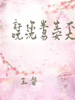 许你半生不见顾晚沈易安大结局