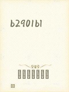 b2901bl