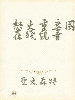 怒火重案国语版在线观看