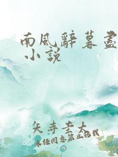 南风辞暮尽缠绵 小说