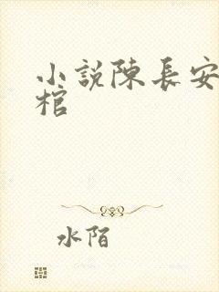 小说陈长安葬神棺