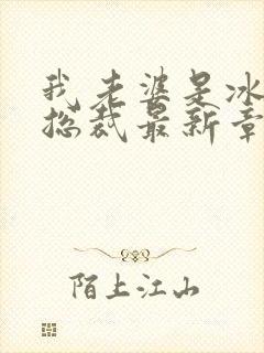 我老婆是冰山女总裁最新章节小说