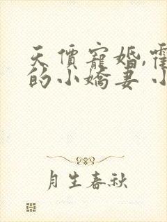 天价宠婚,霍总的小娇妻 小说