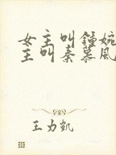 女主叫钟婉婉男主叫秦慕风的小说