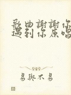 歌曲谢谢你让我遇到你原唱