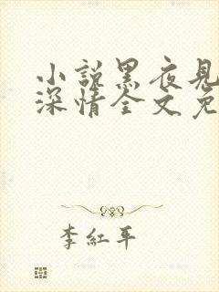 小说黑夜见过他深情全文免费阅读