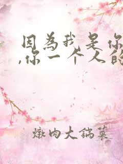 因为我是你的人,你一个人的歌词