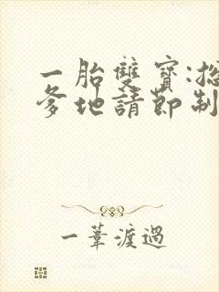 一胎双宝:总裁爹地请节制