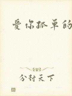 爱你孤单的心事
