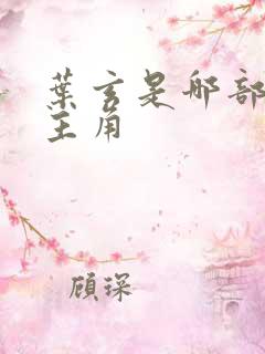 叶玄是哪部小说主角