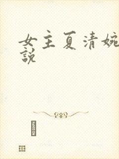 女主夏清婉的小说