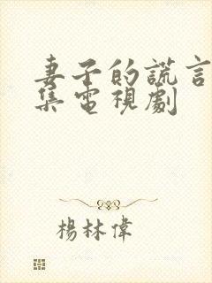 妻子的谎言共几集电视剧