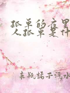 孤单的夜里一个人孤单是什么歌