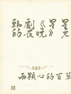 韩剧《星星闪耀的夜晚》免费观看