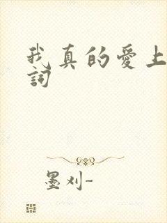 我真的爱上你歌词