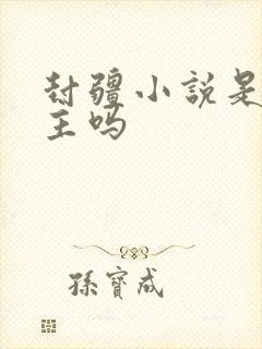 封疆小说是双男主吗