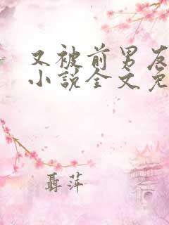 又被前男友盯上小说全文免费