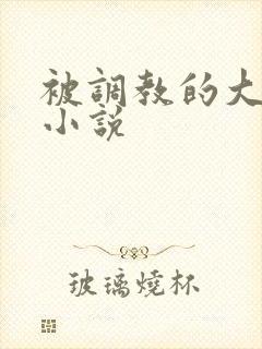 被调教的大小姐小说