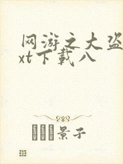 网游之大盗贼txt下载八