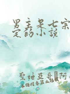 男主是七宗罪设定的小说