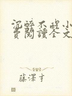 沉醉不醒小说免费阅读全文无弹窗