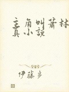 主角叫萧林的修真小说