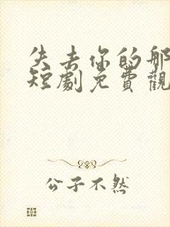 失去你的那一天短剧免费观看全集