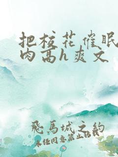 把校花催眠了纯肉高h爽文