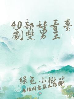 40部好看台剧剧双男主