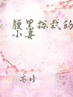 腹黑总裁的呆萌小妻