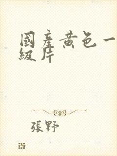 国产黄色一级特级片