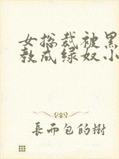 女总裁被黑人调教成绿奴小说