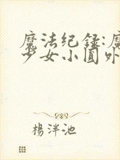 魔法纪录:魔法少女小圆外传 第二季