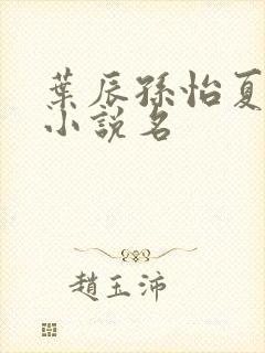 叶辰孙怡夏若雪小说名