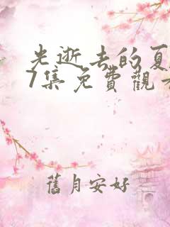 光逝去的夏天第7集免费观看