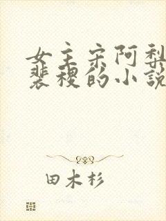 女主宋阿梨男主裴稷的小说