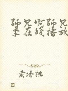 师兄啊师兄第2季在线播放