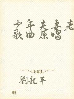 少年夫妻老来伴歌曲原唱