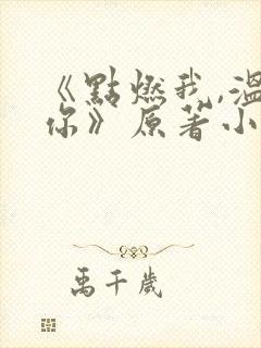 《点燃我,温暖你》原著小说免费看